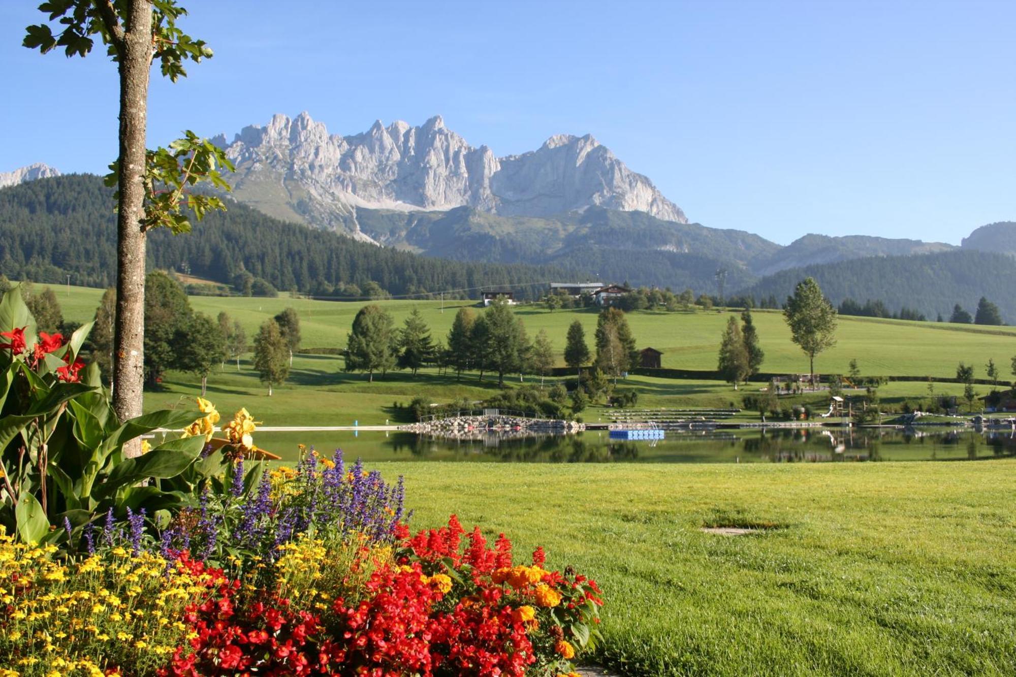 Appartement Claudia Going am Wilden Kaiser Экстерьер фото